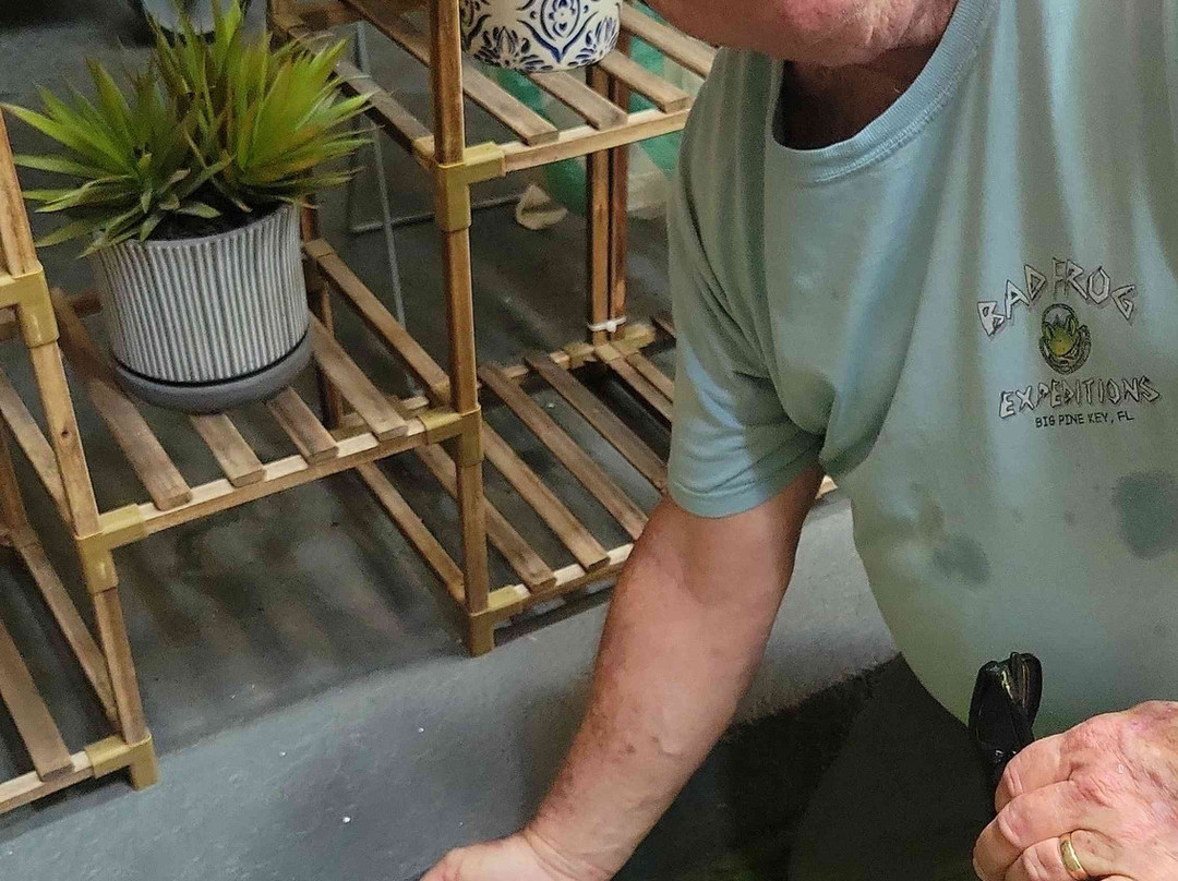 Let's Roam-纽约市必去景点