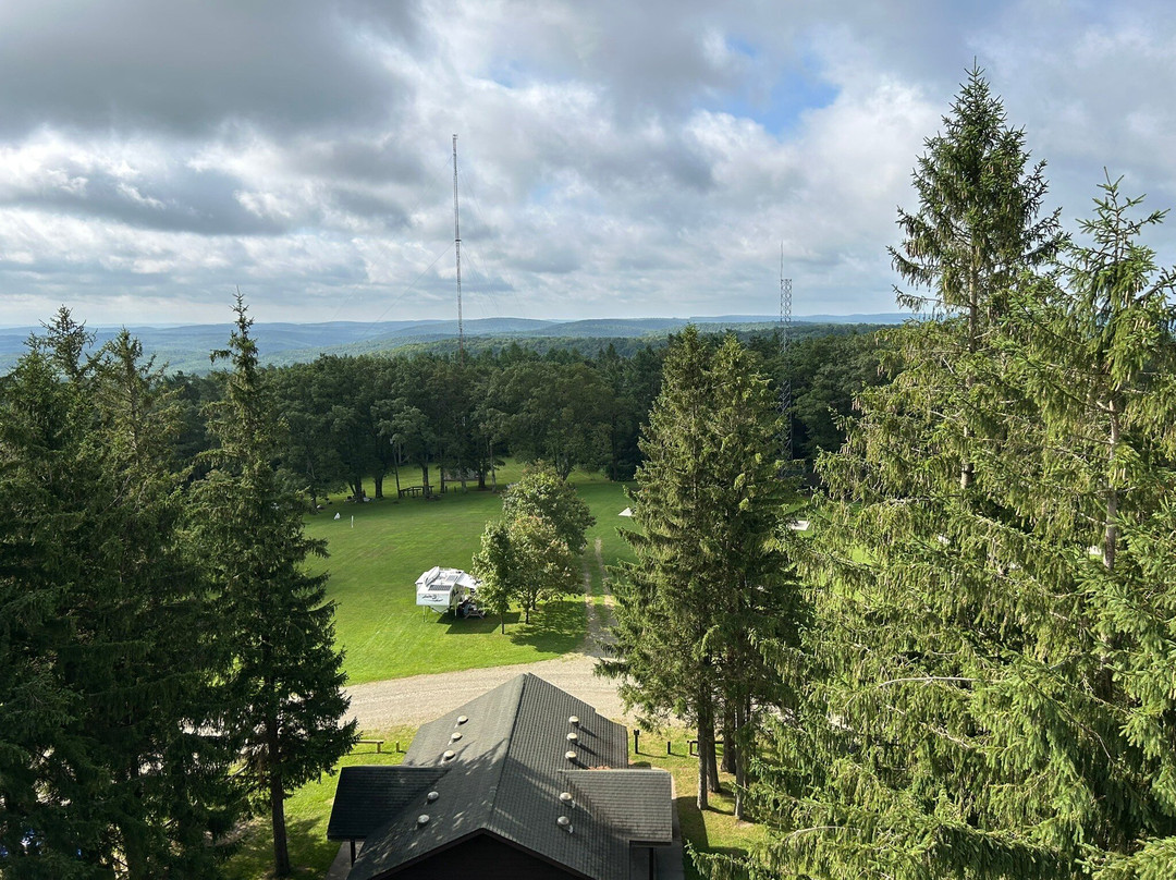 Sugar Hill State Forest-沃特金斯格伦必去景点