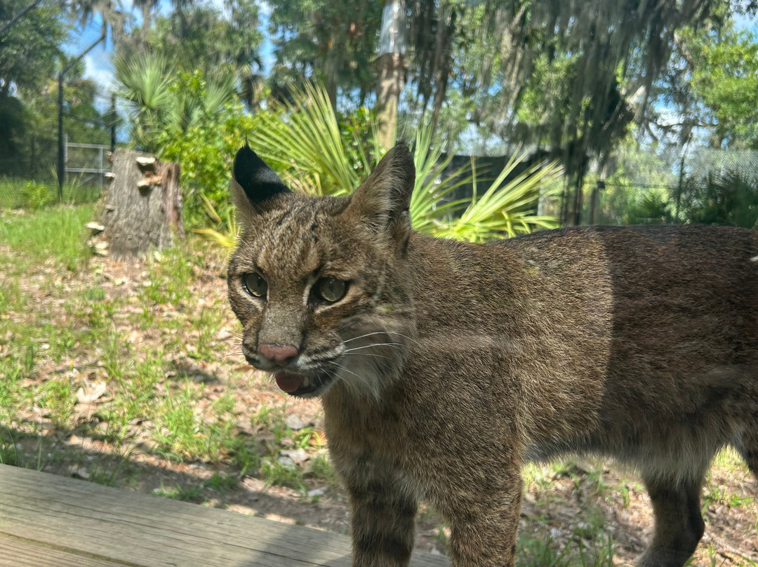Oatland Island Wildlife Center-萨凡纳必去景点