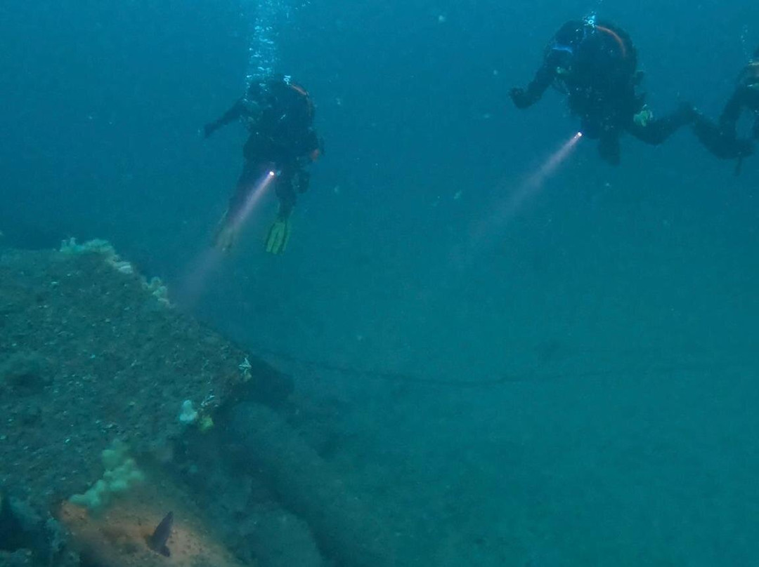 Kraken Diving-Birsay必去景点