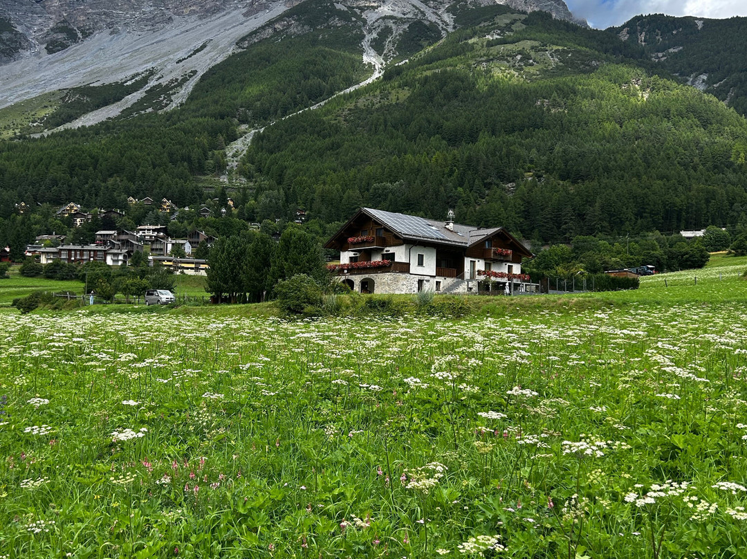Agriturismo San Gallo主图