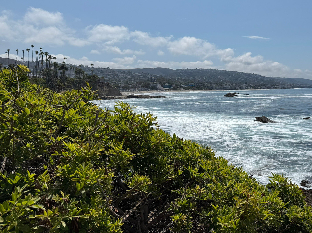 海斯勒公园-拉古纳海滩必去景点