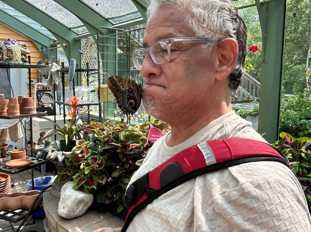 Wings of Mackinac Butterfly Conservatory-麦其诺岛必去景点