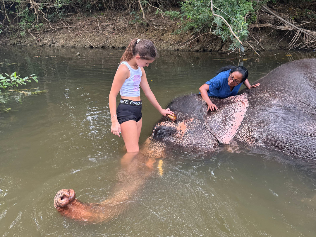 Elephant Bathing at Habarana-哈巴拉娜必去景点