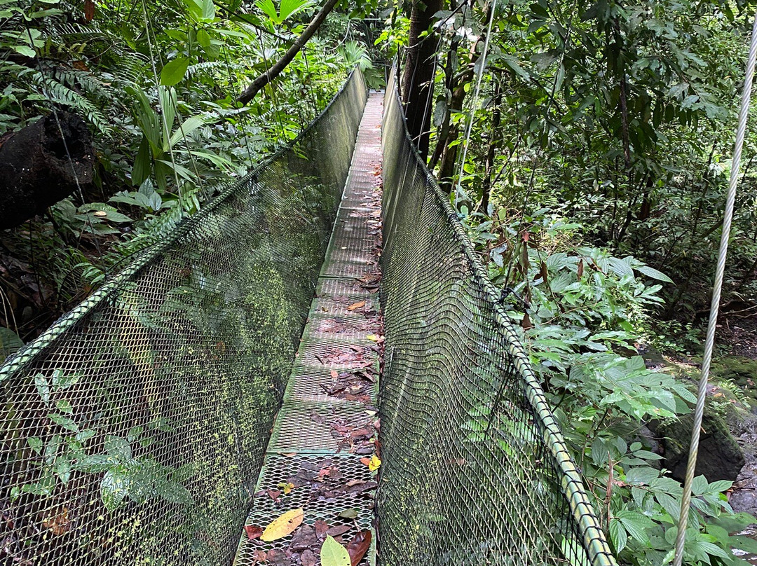 Sukia Park & Zip Line Tour-哥斯达黎加安东尼奥国家公园必去景点