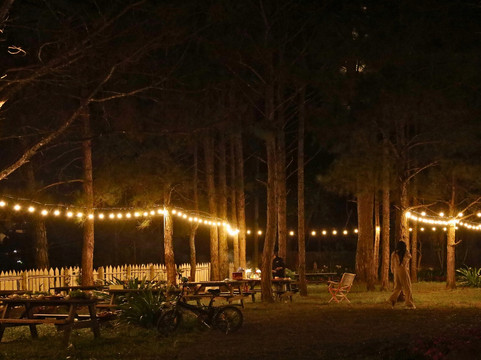 Mộc Vị Đà Lạt