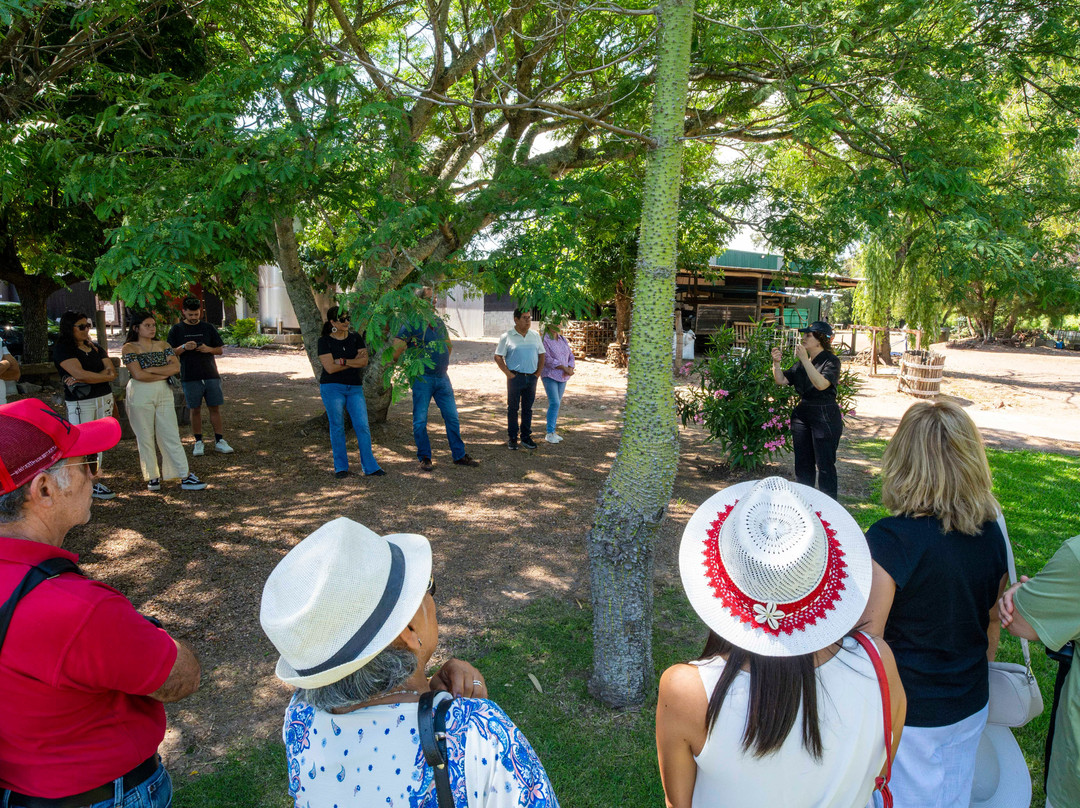 Bodega Garaje Casa Grande-Canelones必去景点