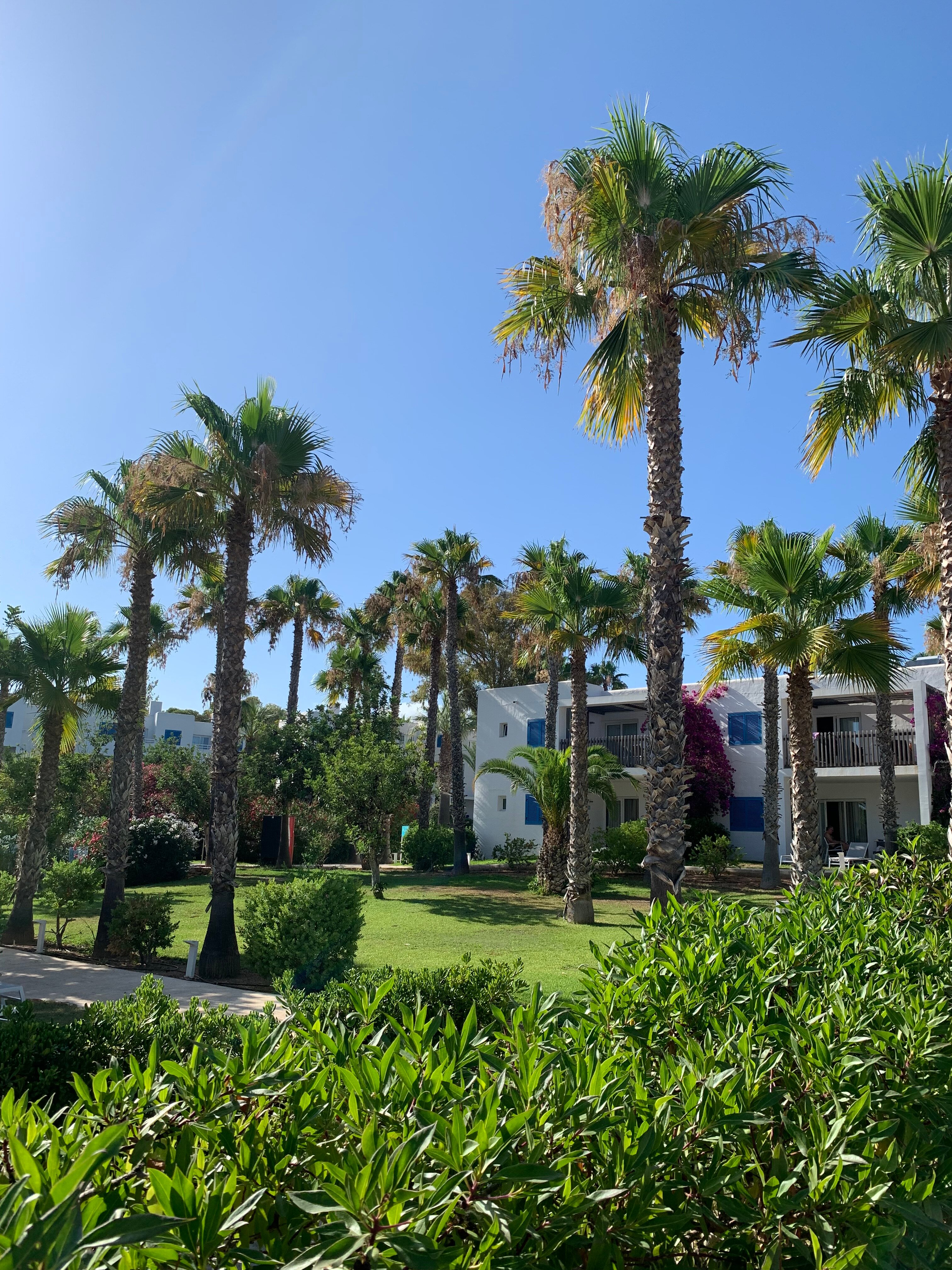 奥拉卡拉林亚俱乐部酒店-浴室