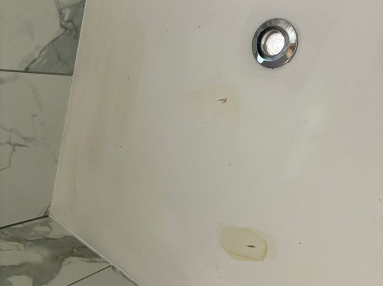 嘉德斯市政厅酒店主图