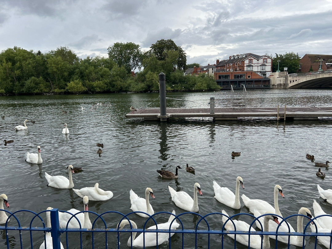 Thames Rivercruise-雷丁必去景点