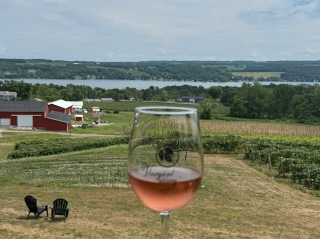 Vineyard View Winery-Keuka Park必去景点