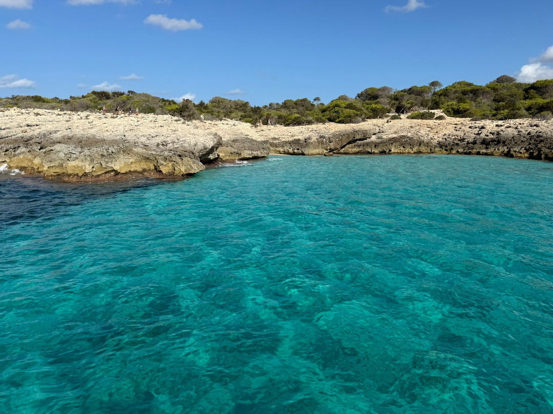 Don Pancho Boat Trip-休达德亚必去景点