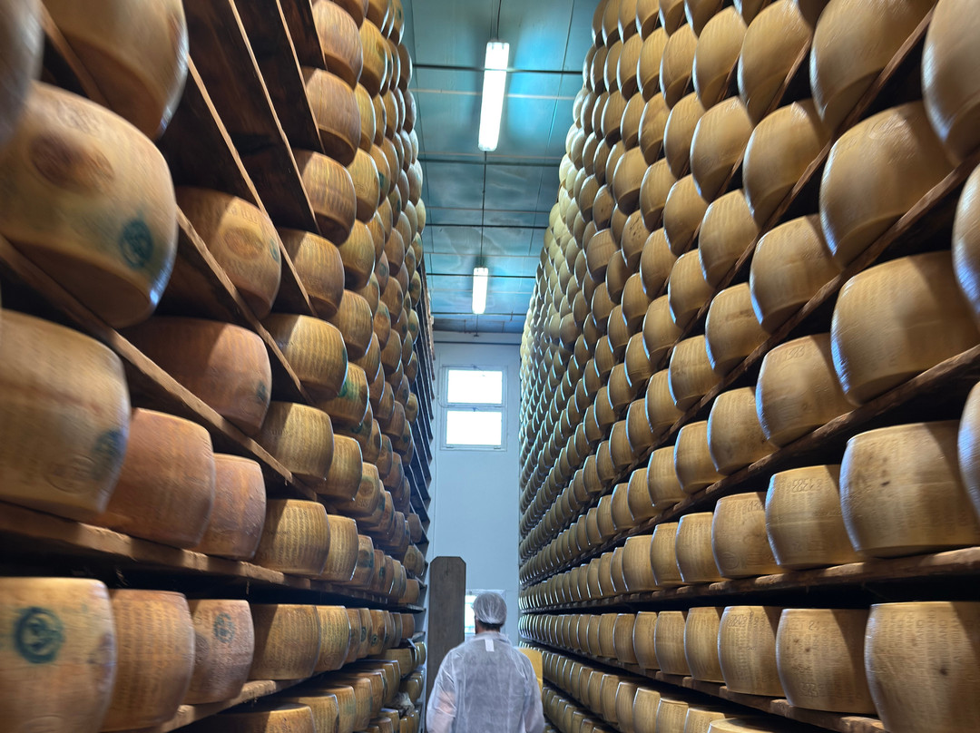 Emilia Delizia Food Tours-博洛尼亚必去景点