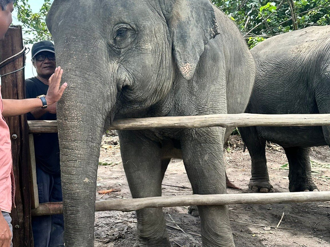 Koh Yao Elephant Beach-阁耀亚伊岛必去景点