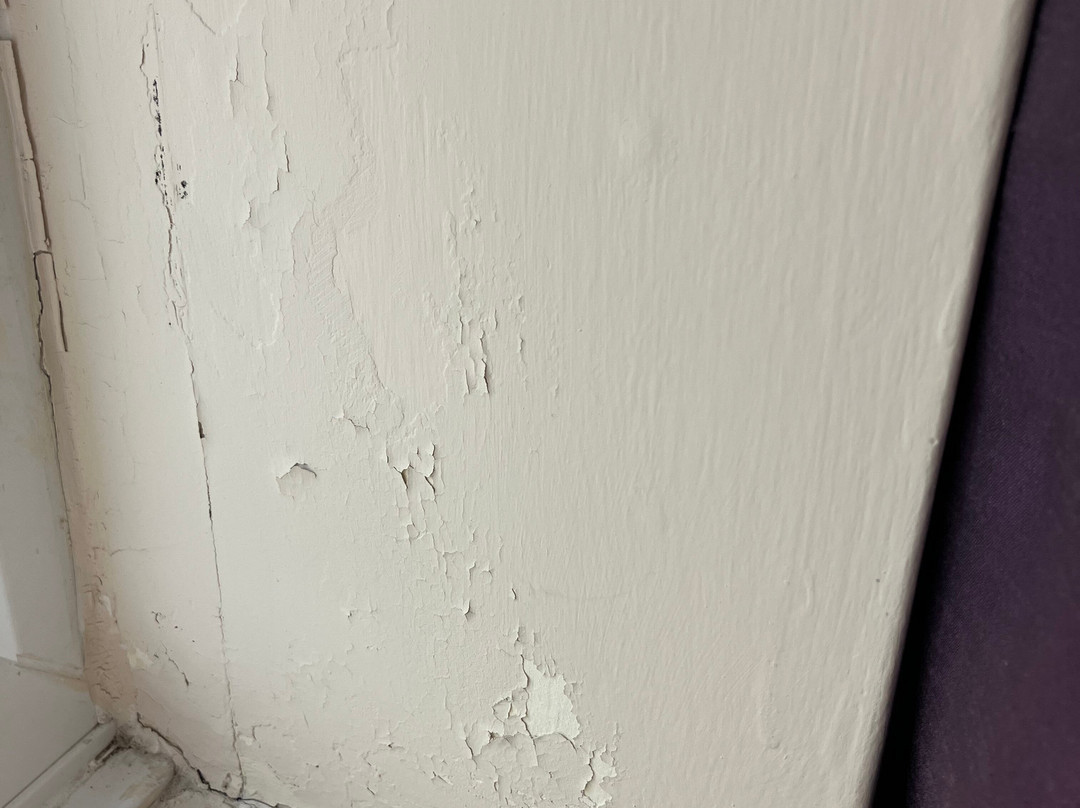 普瑞米尔哈利法克斯酒店主图