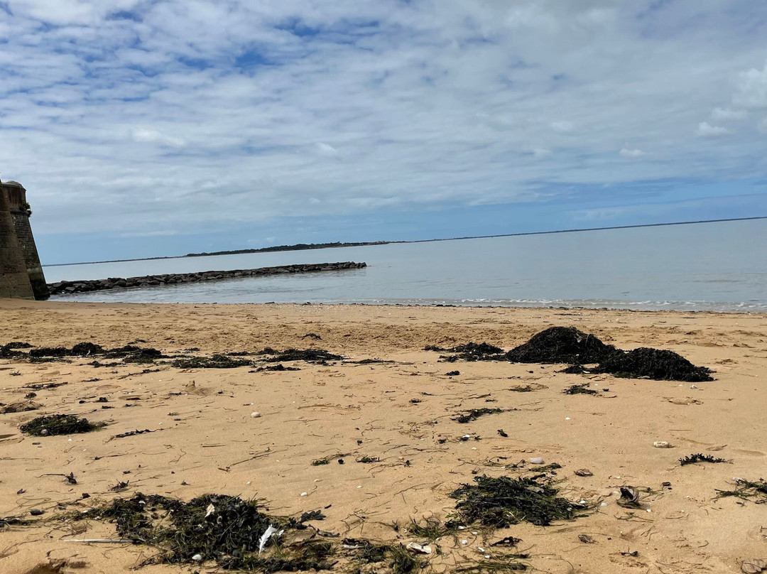 巴恩斯大酒店主图