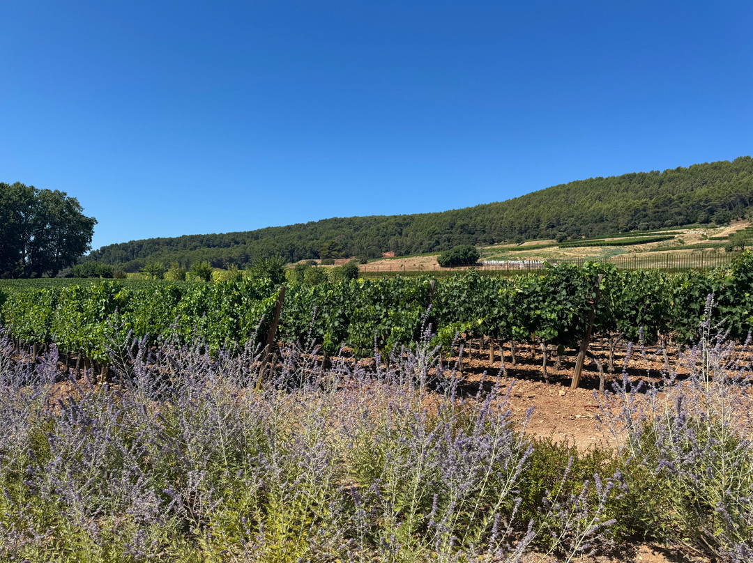 Chateau d’Esclans-La Motte必去景点