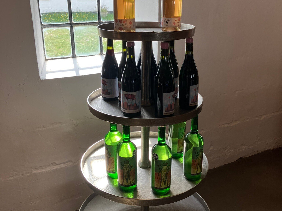 Brantebjerg-Nykoebing必去景点