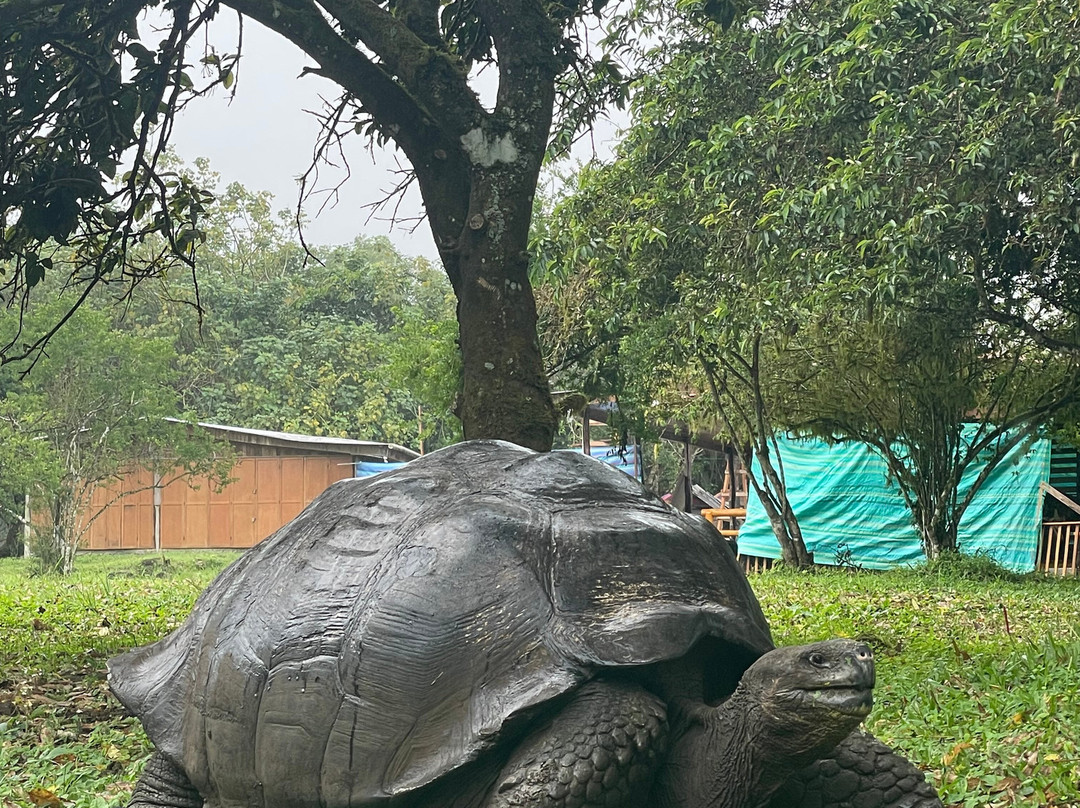 Galapagos by Local Guides-圣克鲁斯必去景点