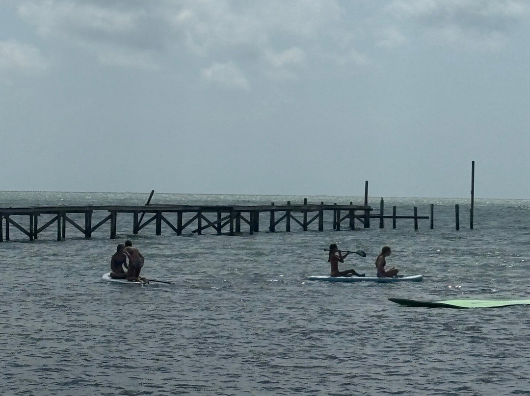 Reel'em Inn Rockport主图