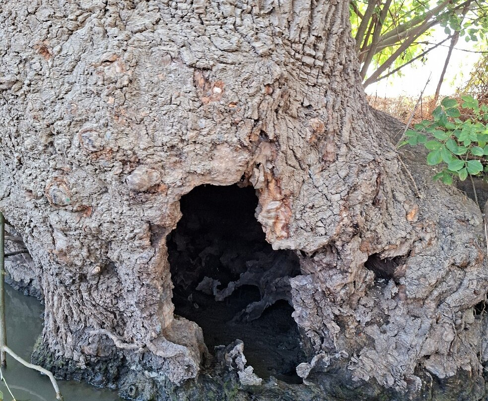 Le Marais Poitevin-Maillezais必去景点