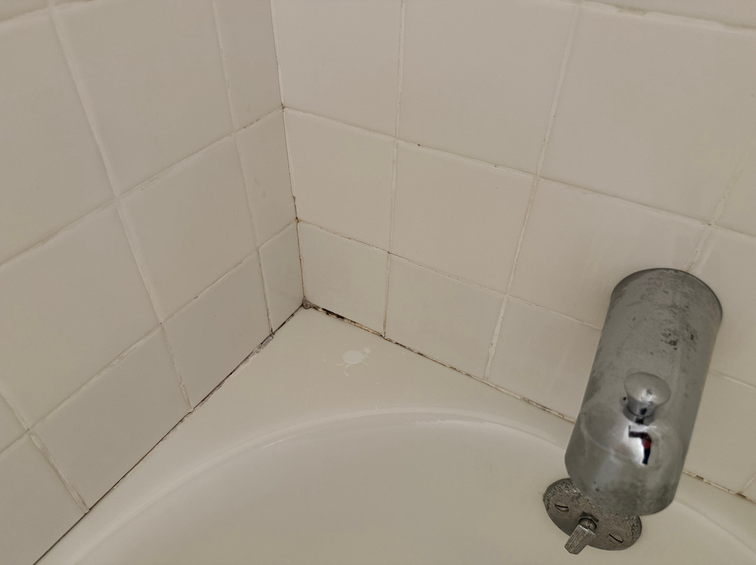 Catskill Seasons Inn主图