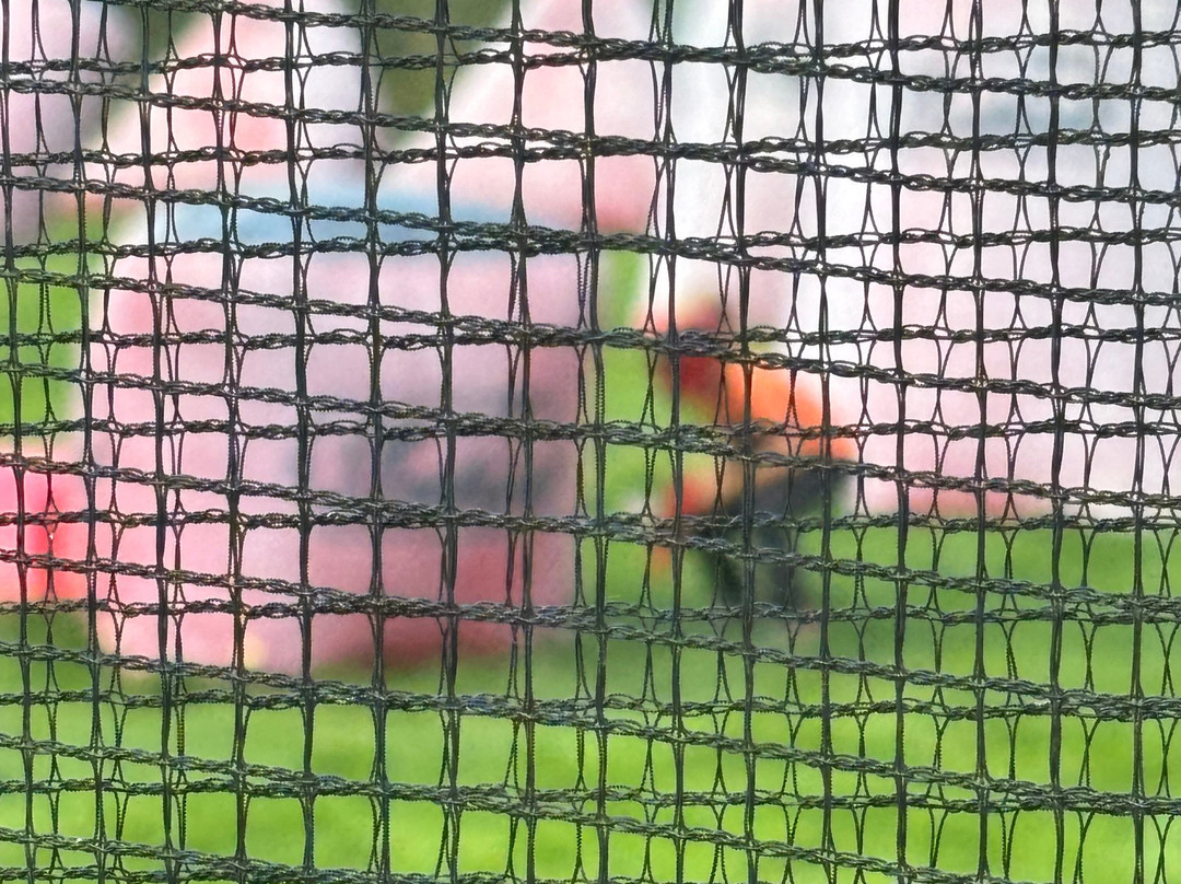 Paintball Happening-Leopoldsburg必去景点