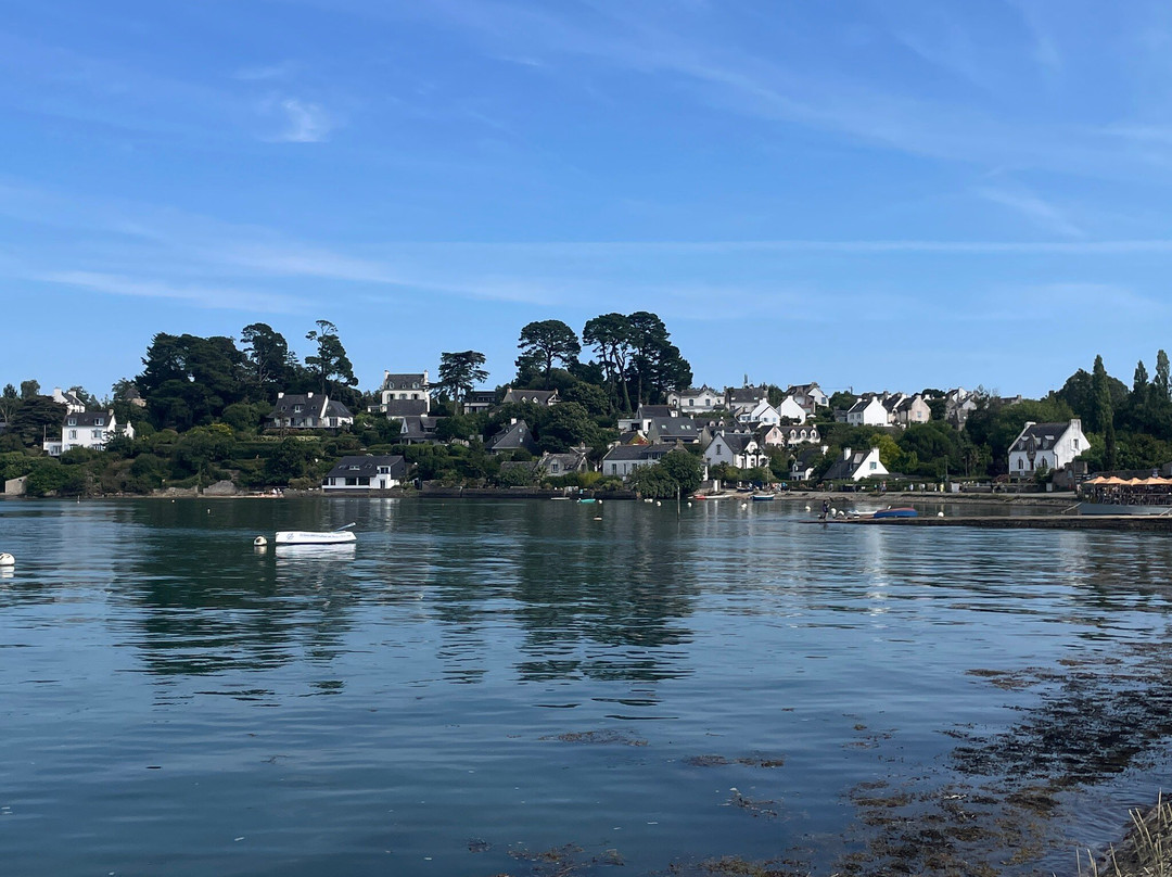 Randonnée Pédestre Sur L'ile Aux Moines
