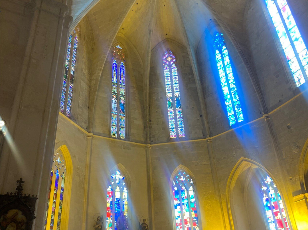 Catedral de Ciutadella-休达德亚必去景点