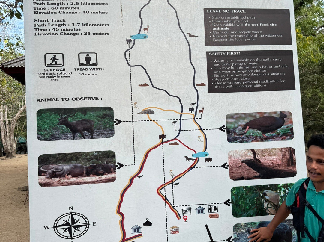 Loh Liang National Park-Labuan Bajo必去景点