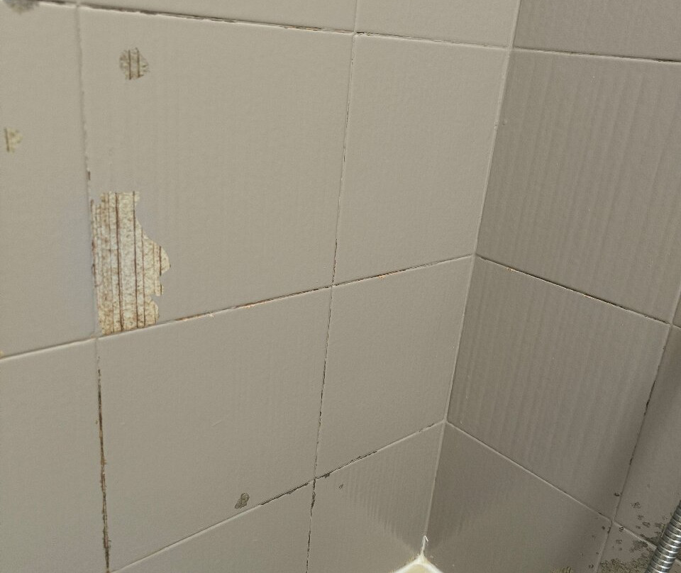 Logis Hôtel de la Corniche主图