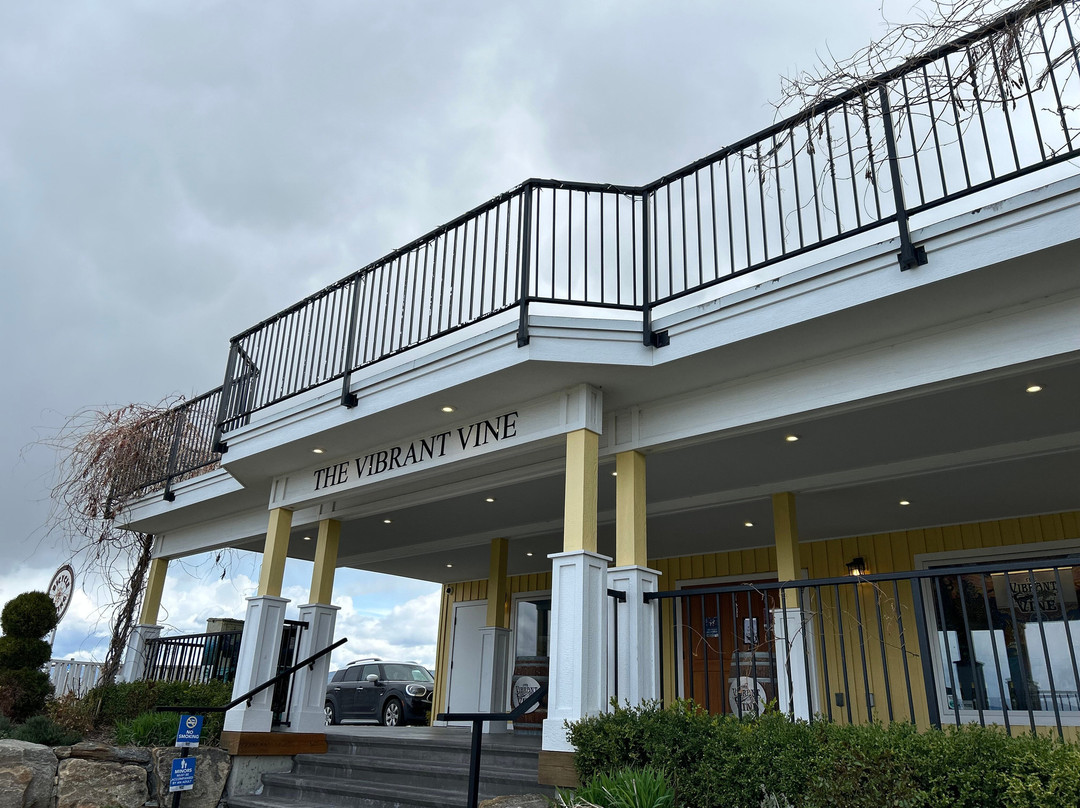 The Vibrant Vine-基洛纳必去景点