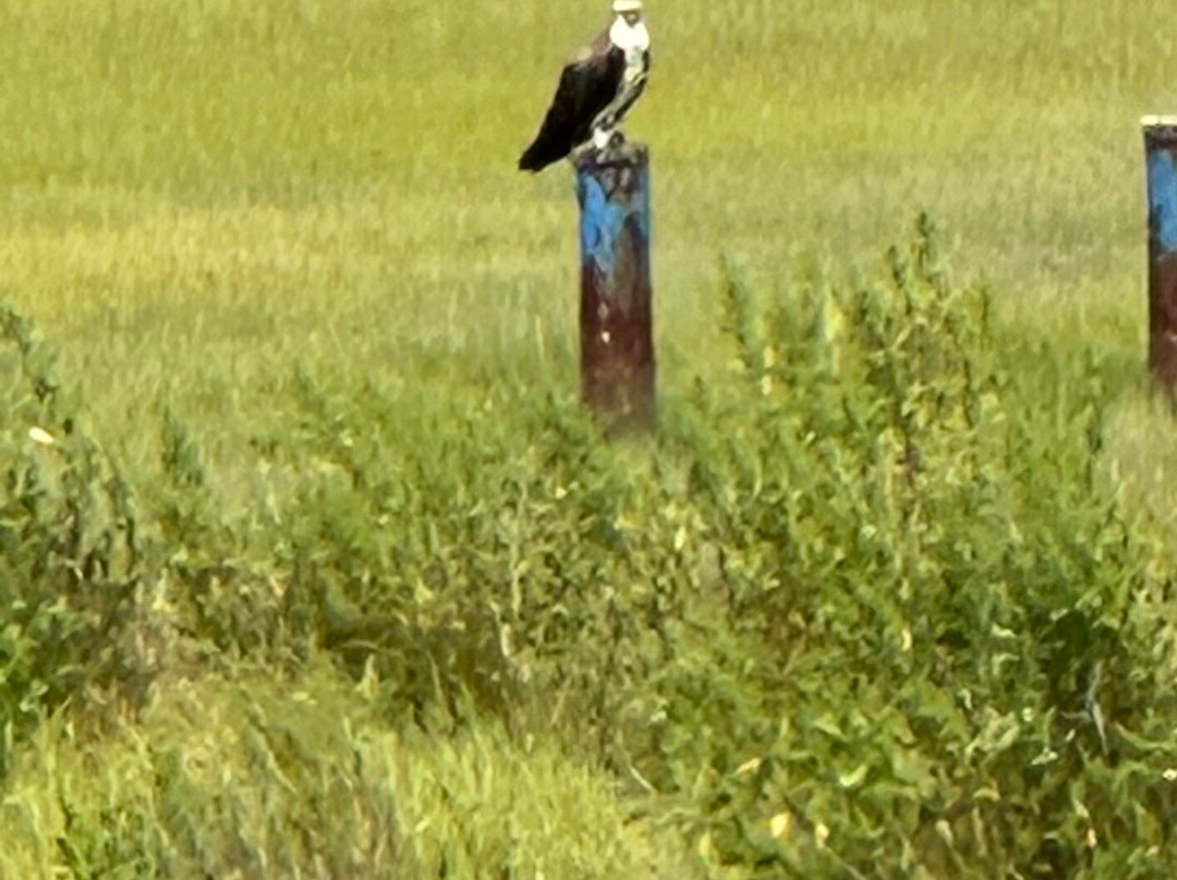 Boarding House Cape May主图