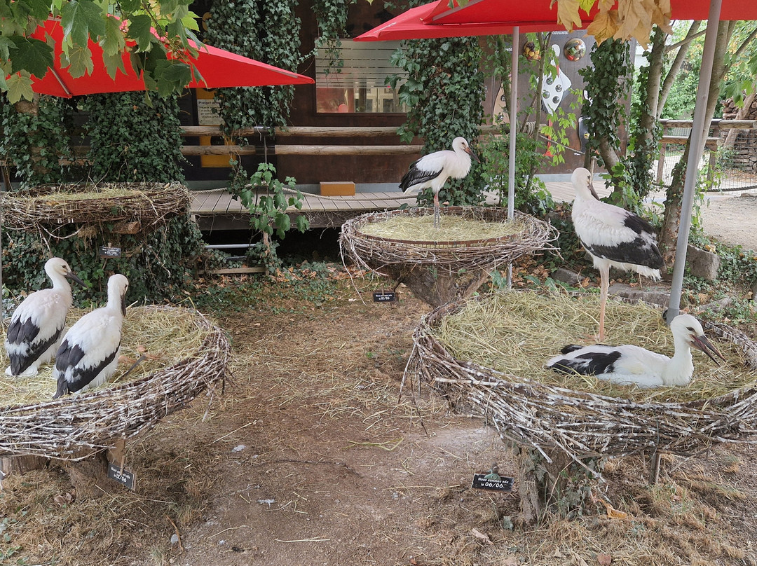 NaturoparC - Hunawihr-汉拿威必去景点