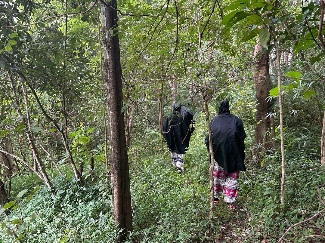 Loolu Tour - Private Day Tours-清迈必去景点