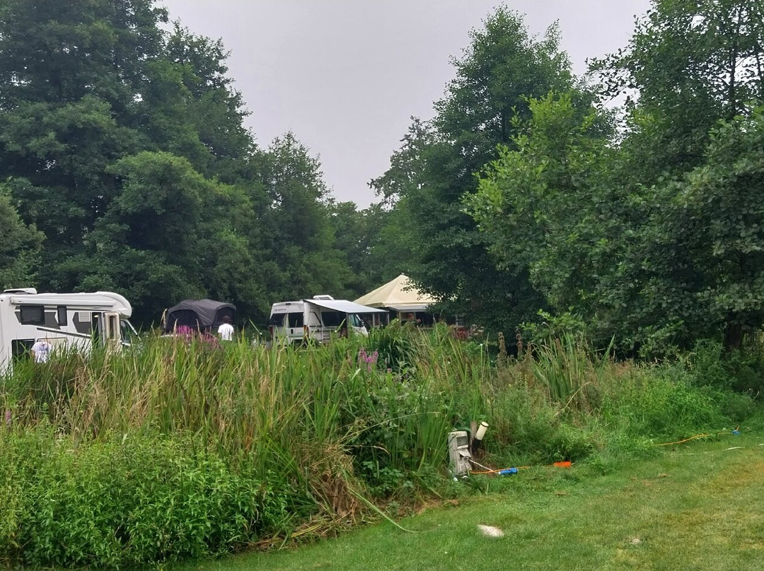 Qui Vivra Verra主图