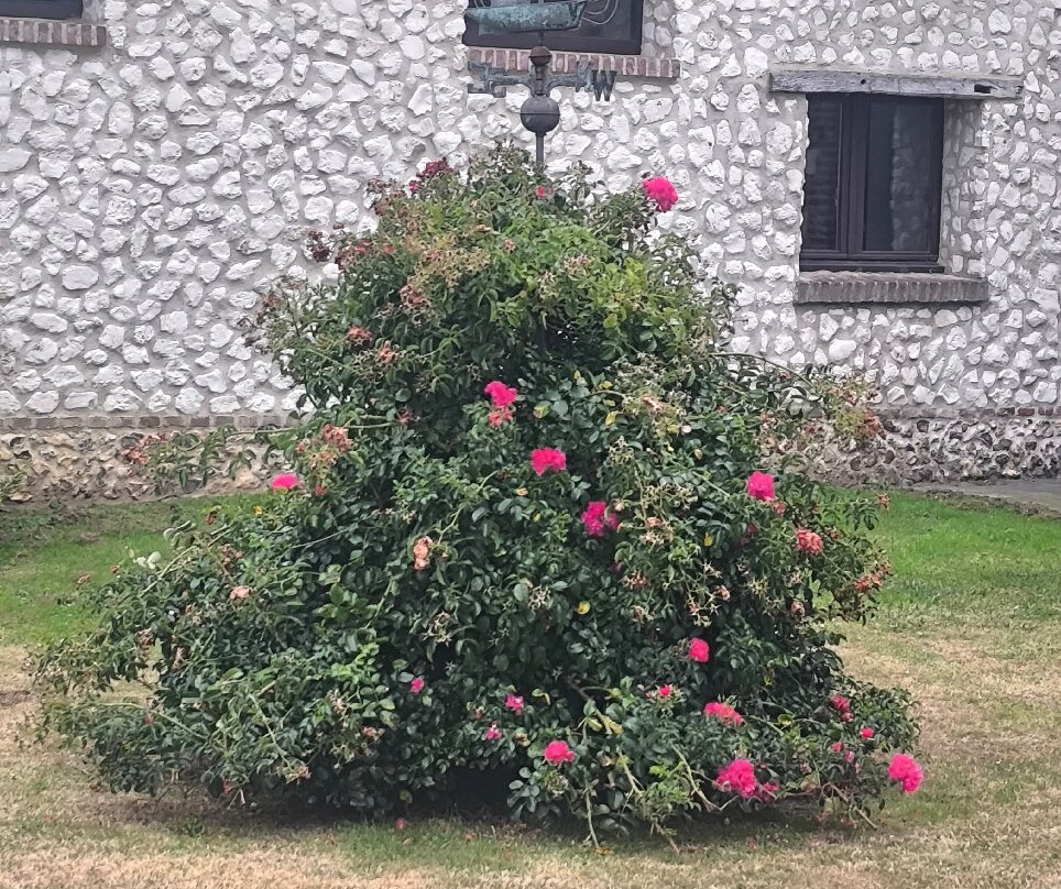 Domaine de Collen主图