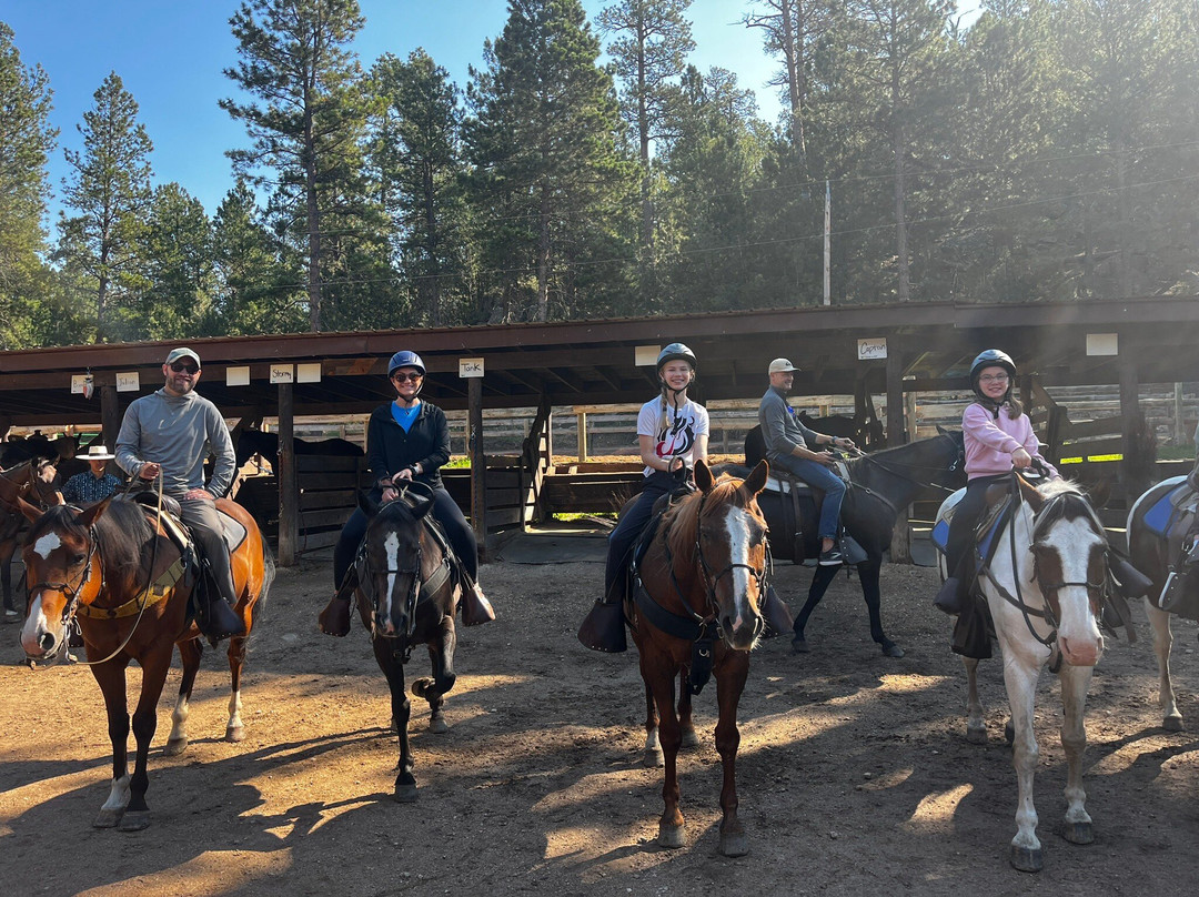 Blue Bell Stables-卡斯特必去景点