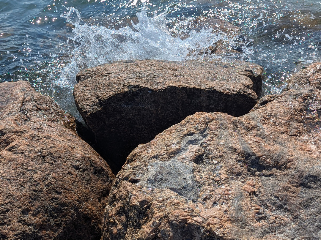 Rock Harbor Marsh-奥尔良必去景点