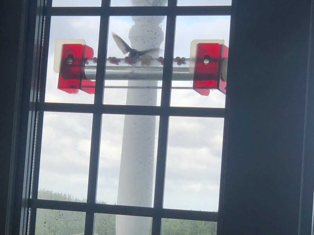 The Yellow Sidecar B & B主图