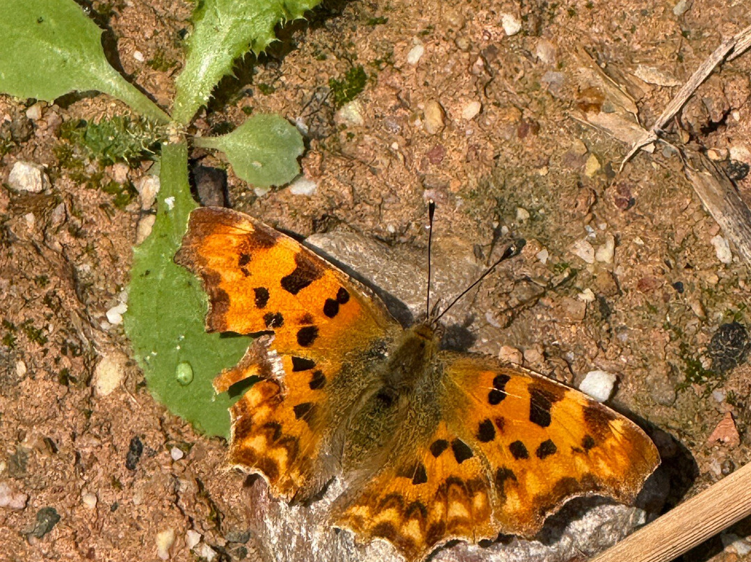 Vogelpark Avifauna-Alphen aan den Rijn必去景点