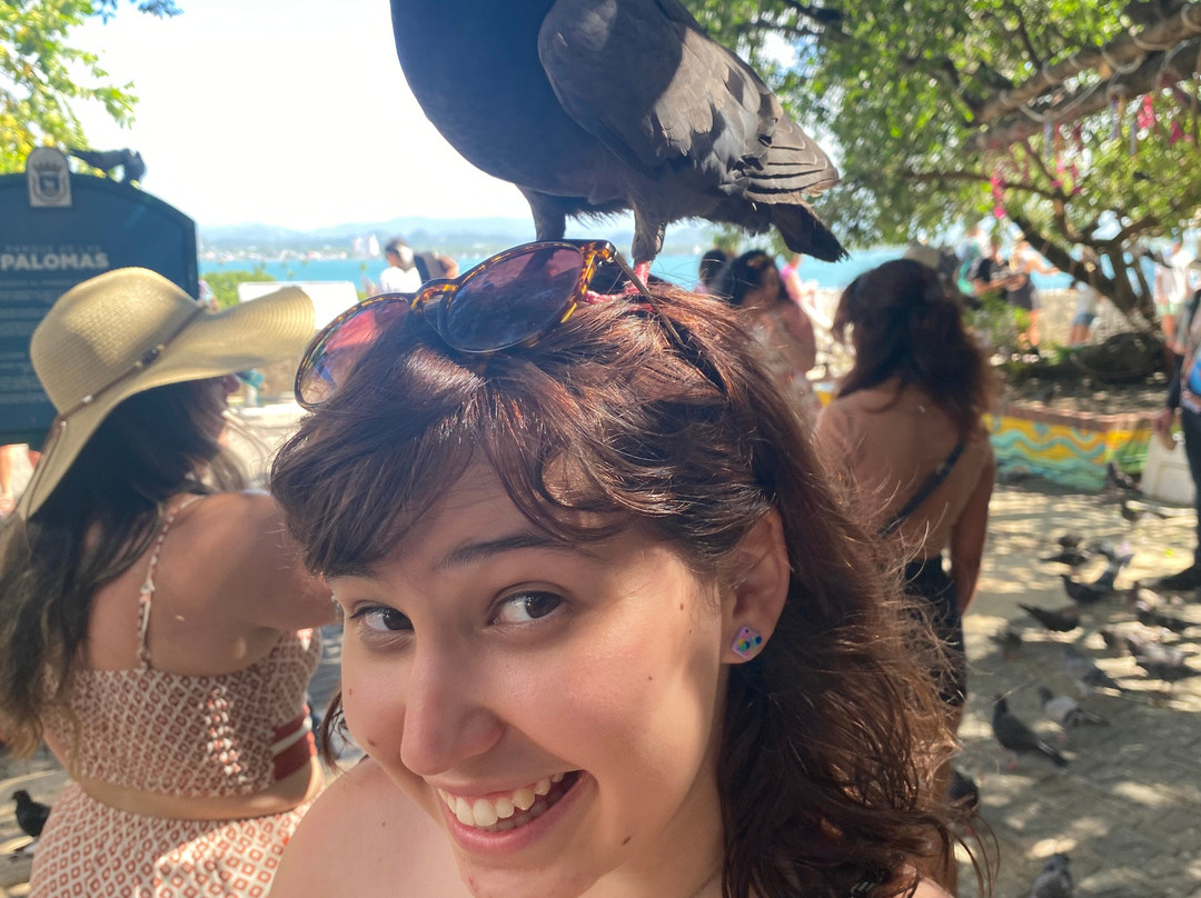 帕克达拉斯帕洛马斯-圣胡安必去景点