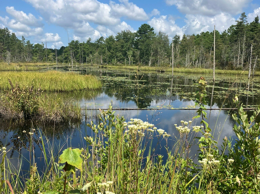 Franklin Parker Preserve-Chatsworth必去景点