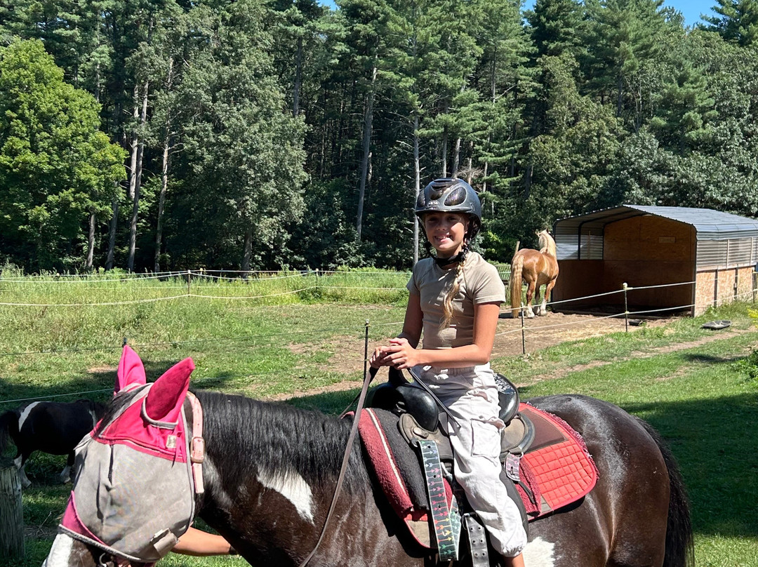 Bobby's Ranch-韦斯特福德必去景点