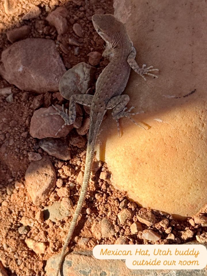 帽子岩酒店-官方