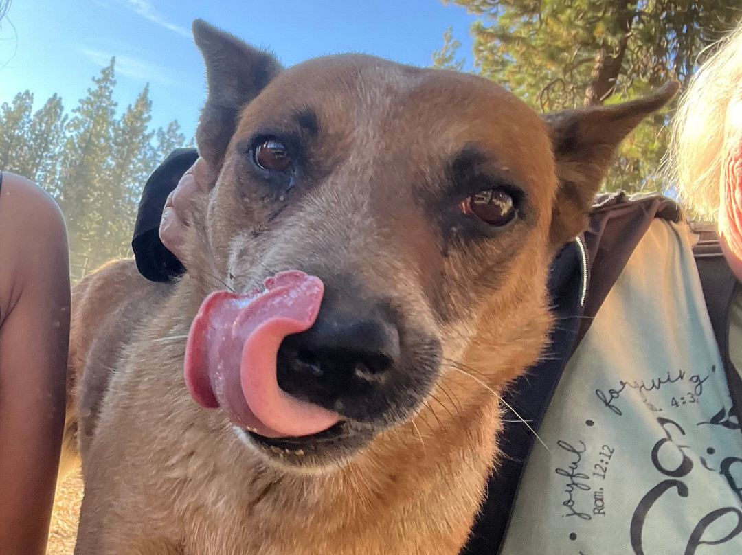 Zephyr Cove Stables-Zephyr Cove必去景点