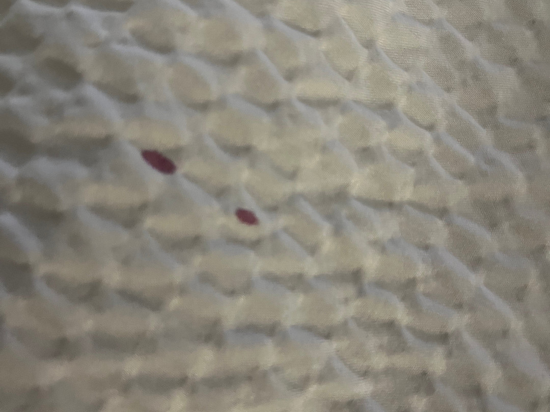 Days Inn by Wyndham Asheville Downtown North主图