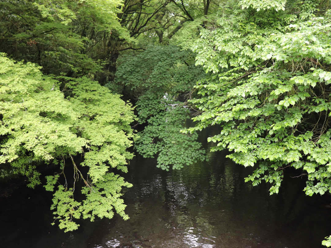Kikuchi Gorge-菊池市必去景点