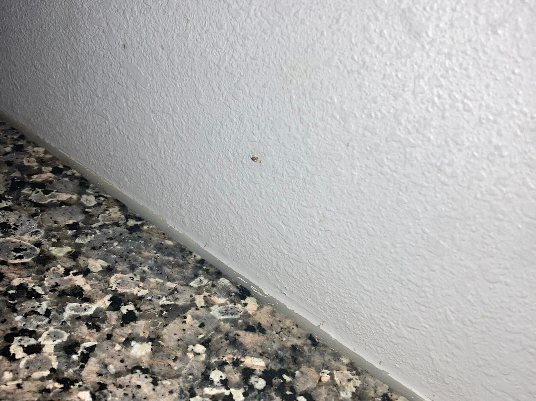 Wingate by Wyndham Athens near Downtown主图