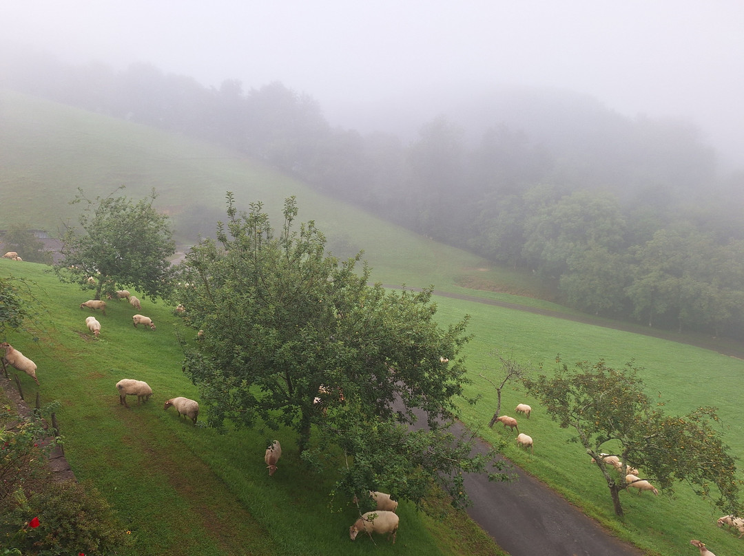 Pyrenean Writing Retreats-Ituren必去景点